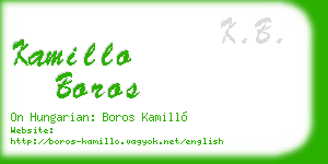 kamillo boros business card